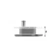 Radiateur d'huile AVA QUALITY COOLING MS3733 - Visuel 3