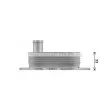 Radiateur d'huile AVA QUALITY COOLING MS3743 - Visuel 3