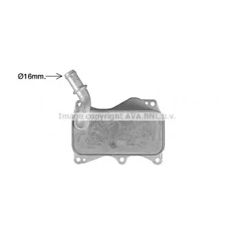 Radiateur d'huile AVA QUALITY COOLING MS3749