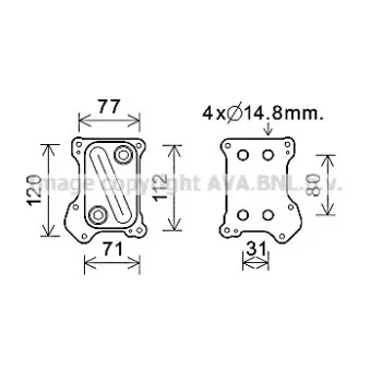Radiateur d'huile AVA QUALITY COOLING OL3686