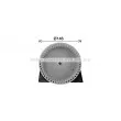 Moteur électrique, pulseur d'air habitacle AVA QUALITY COOLING OL8695 - Visuel 2