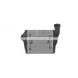 Intercooler, échangeur AVA QUALITY COOLING PR4099 - Visuel 2