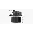 Moteur électrique, pulseur d'air habitacle AVA QUALITY COOLING RT8671 - Visuel 3