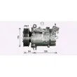 Compresseur, climatisation AVA QUALITY COOLING RTK669 - Visuel 1