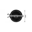 Moteur électrique, pulseur d'air habitacle AVA QUALITY COOLING ST7504 - Visuel 2