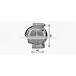 Compresseur, climatisation AVA QUALITY COOLING SZAK164 - Visuel 3