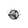 Moteur électrique, pulseur d'air habitacle AVA QUALITY COOLING TO8777 - Visuel 1