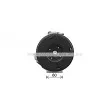 Compresseur, climatisation AVA QUALITY COOLING TOK768 - Visuel 2