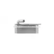 Radiateur d'huile AVA QUALITY COOLING VN3429 - Visuel 3