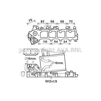 Intercooler, échangeur AVA QUALITY COOLING VN4376