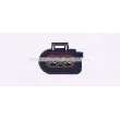 Ventilateur, refroidissement du moteur AVA QUALITY COOLING VN7547 - Visuel 2