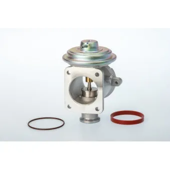 Vanne EGR WAHLER 710924D/1