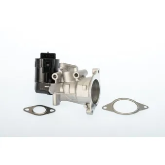 Vanne EGR WAHLER 710926D/1