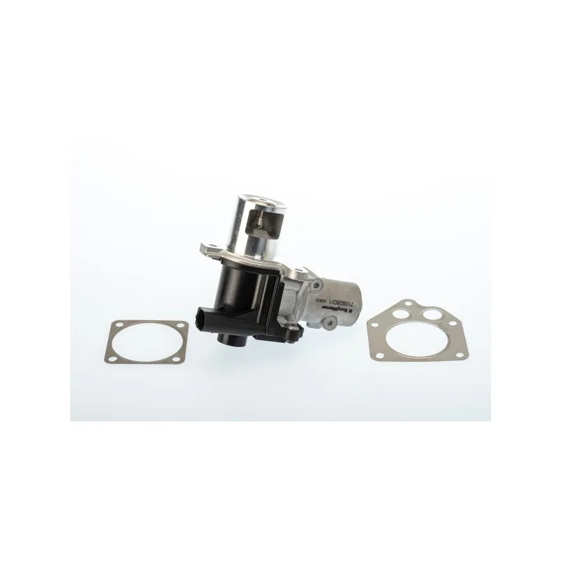 Vanne EGR WAHLER 710928D/1