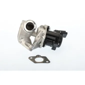 Vanne EGR WAHLER 710929D/1