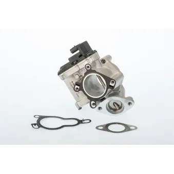 Vanne EGR WAHLER 710945D/1