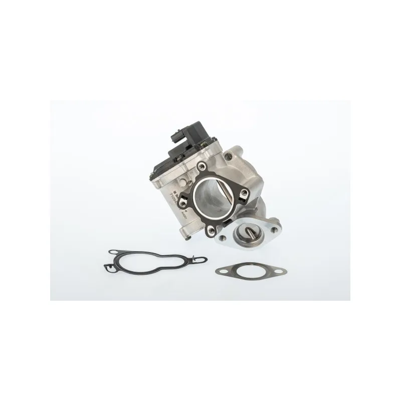Vanne EGR WAHLER 710945D/1