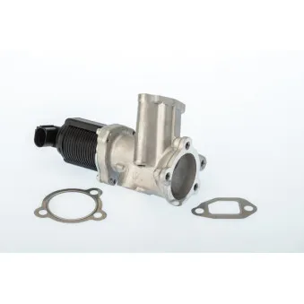 Vanne EGR WAHLER 710949D/1