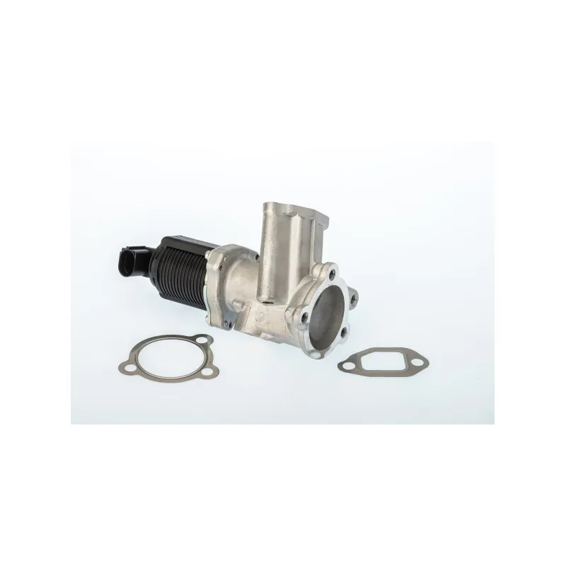 Vanne EGR WAHLER 710949D/1