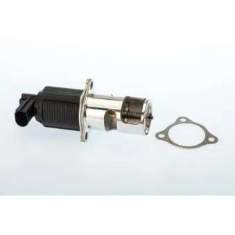 Vanne EGR WAHLER 710950D/1