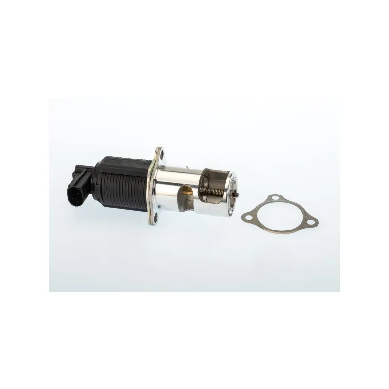 Vanne EGR WAHLER 710950D/1