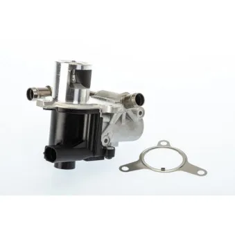 Vanne EGR WAHLER 710965D/1