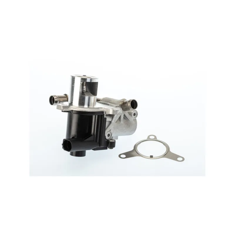 Vanne EGR WAHLER 710965D/1