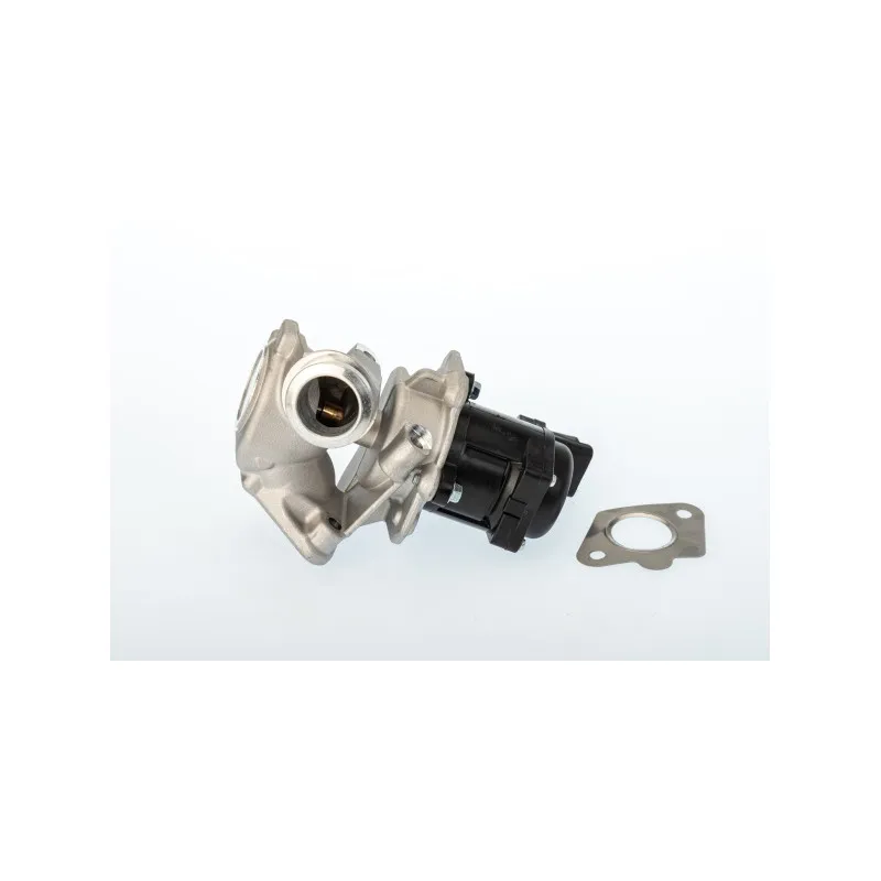 Vanne EGR WAHLER 711020D/1