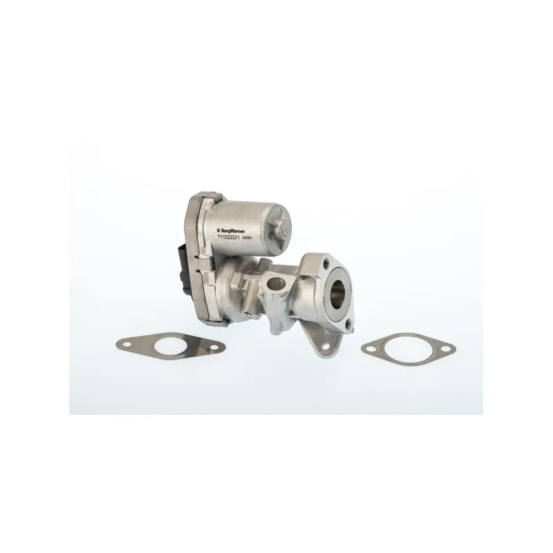 Vanne EGR WAHLER 711022D/1
