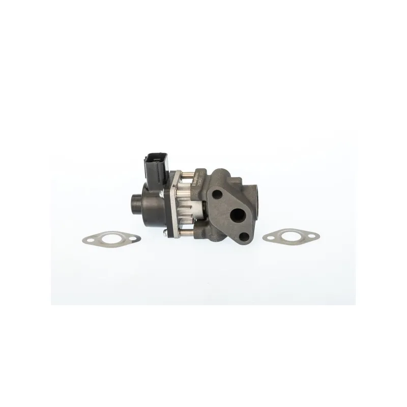 Vanne EGR WAHLER 711024D/1