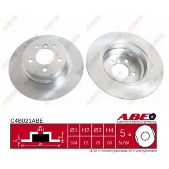 Jeu de 2 disques de frein arrière ABE C4B021ABE