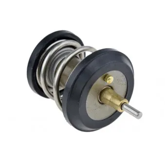 Thermostat d'eau TEKNÖR