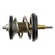 Thermostat d'eau TEKNÖR CTM-VW-052 - Visuel 3