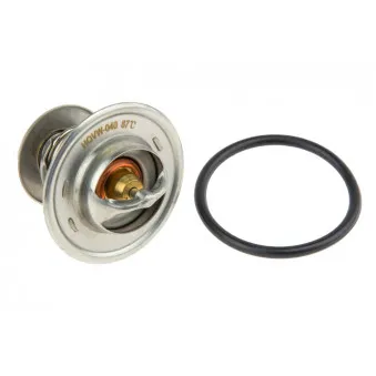 Thermostat d'eau TEKNÖR CTM-VW-040