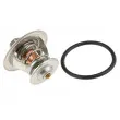 Thermostat d'eau TEKNÖR CTM-VW-040 - Visuel 2