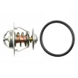 Thermostat d'eau TEKNÖR CTM-VW-040 - Visuel 3