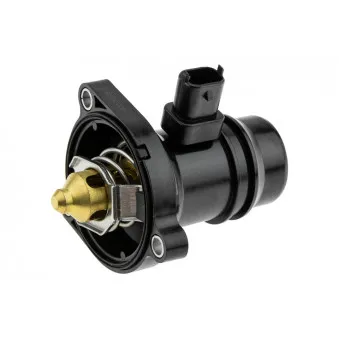 Thermostat d'eau TEKNÖR CTM-PL-025