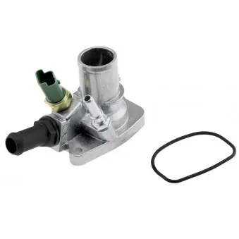 Thermostat d'eau TEKNÖR CTM-FT-003