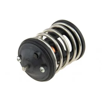 Thermostat d'eau TEKNÖR CTM-BM-048