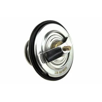 Thermostat d'eau TEKNÖR CTM-BM-039