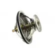 Thermostat d'eau TEKNÖR CTM-BM-039 - Visuel 2