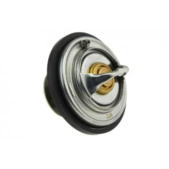 Thermostat d'eau TEKNÖR CTM-AU-015