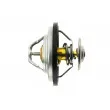 Thermostat d'eau TEKNÖR CTM-AU-015 - Visuel 3