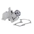 Pompe à eau TEKNÖR CPW-MZ-039 - Visuel 2