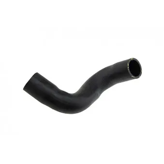 Durite de radiateur TEKNÖR CPP-BM-081