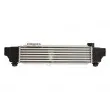 Intercooler, échangeur THERMOTEC DA03004TT - Visuel 2