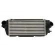 Intercooler, échangeur THERMOTEC DA03005TT - Visuel 1