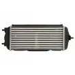 Intercooler, échangeur THERMOTEC DA03005TT - Visuel 2