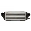 Intercooler, échangeur THERMOTEC DA03006TT - Visuel 1