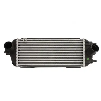 Intercooler, échangeur THERMOTEC DA03006TT